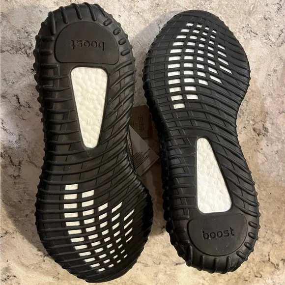 Adidas Yeezy Boost 350 v2 Carbon Beluga